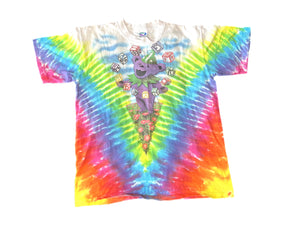 Grateful Dead Spring Tour 1991